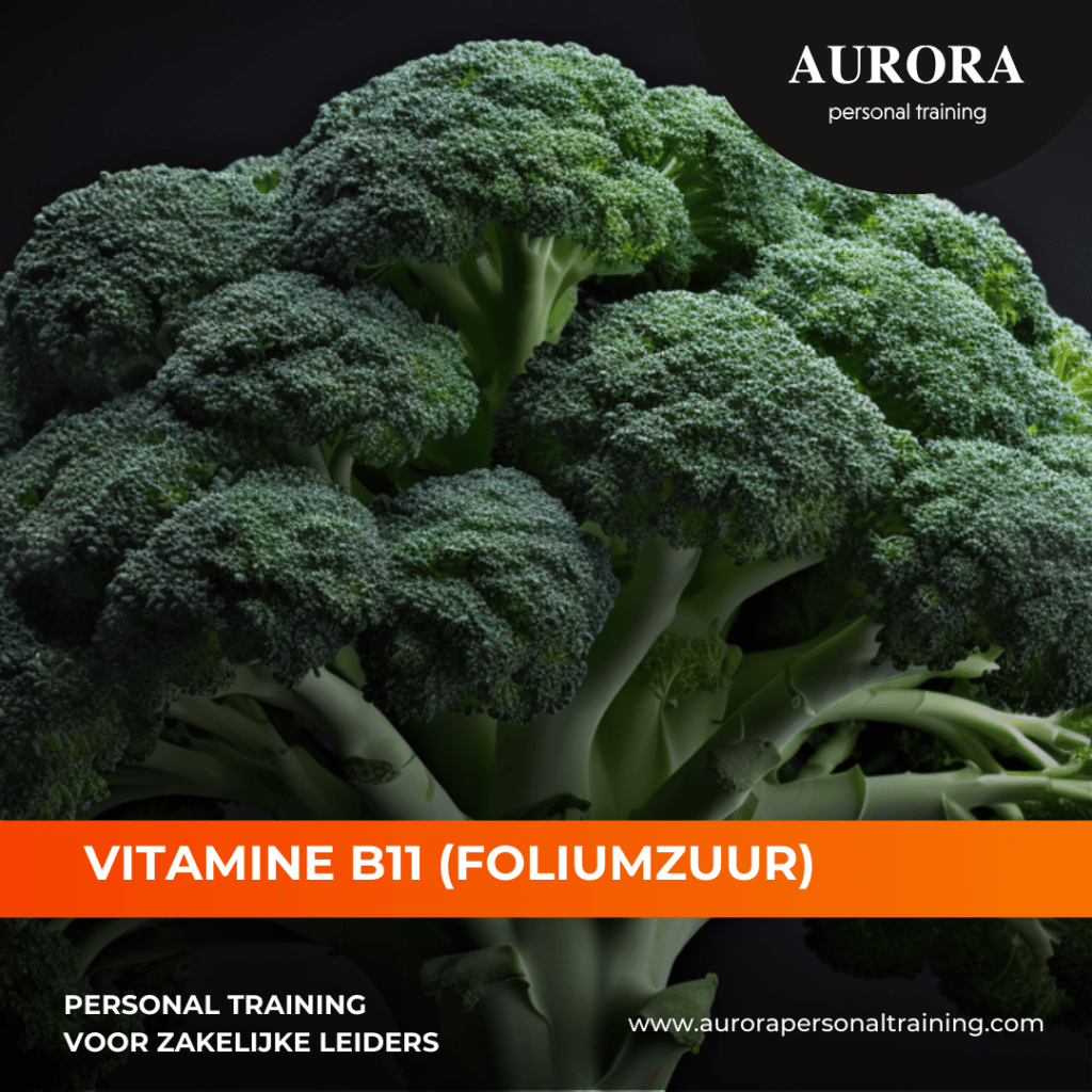 Vitamine B11 (Foliumzuur)