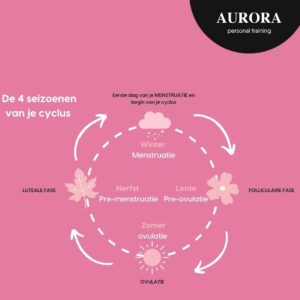 Menstrual cycle